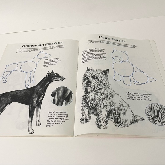 Vtg 1983 How to Draw Dogs by Carrie Snyder Paperback Art Book - Picture 13 of 14